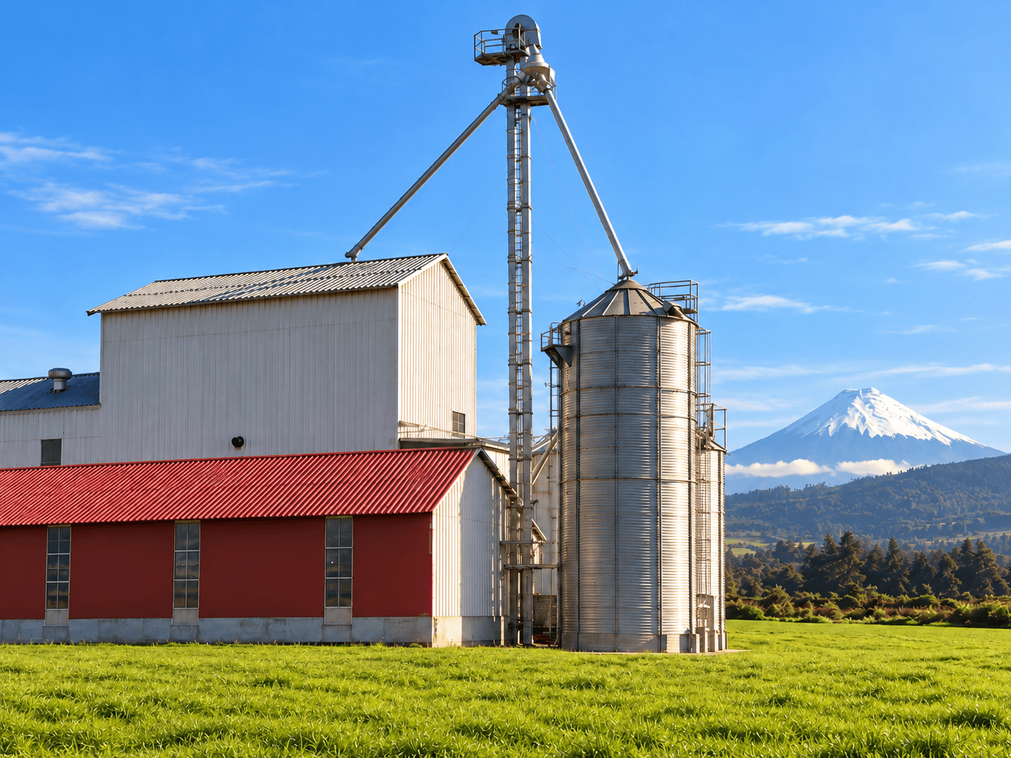 Silos y elevador de granos de la planta, con el volcán Cotopaxi al fondo